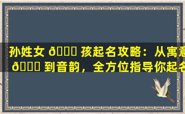 孙姓女 🐝 孩起名攻略：从寓意 🐅 到音韵，全方位指导你起名